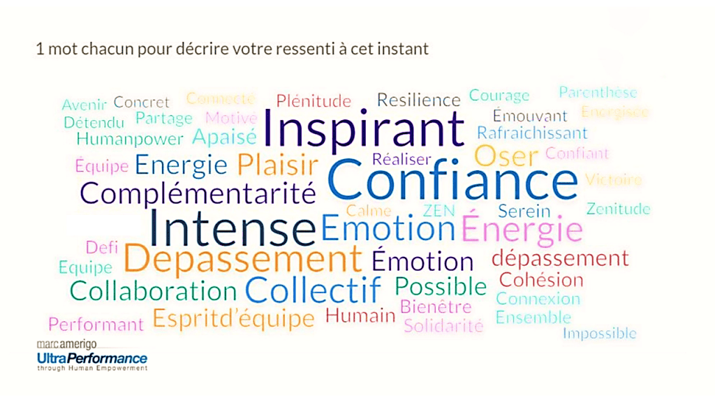 Nuage de mots post conférence de Marc Amerigo en 2023